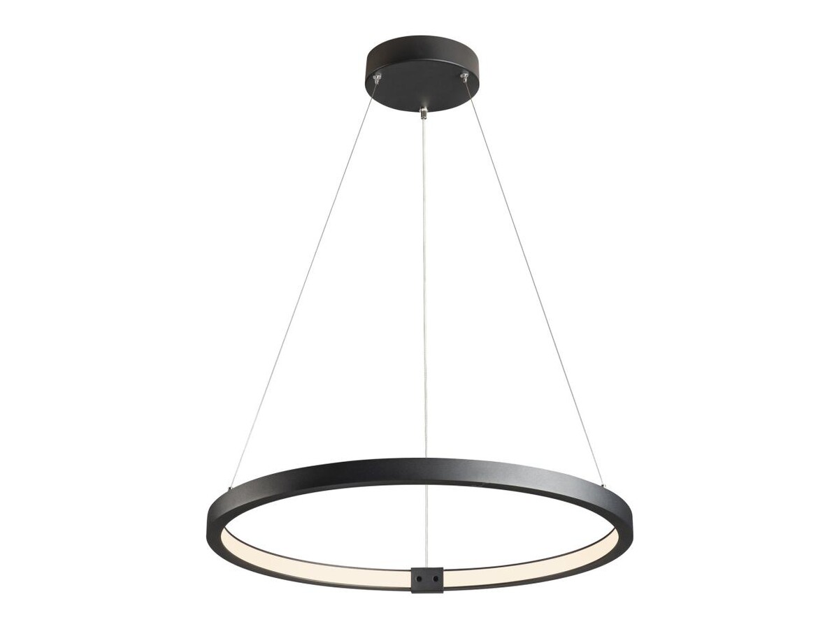 Zwarte ringvormige hanglamp met plafondrozet en volledige ophanging