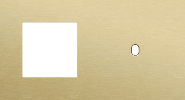 Tweevoudige afdekplaat, horizontaal 71 mm centerafstand,voor