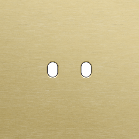 Enkelvoudige afdekplaat, voor tweevoudige schakelfuncties, N