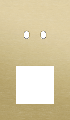 Tweevoudige afdekplaat, verticaal 60 mm centerafstand, voor