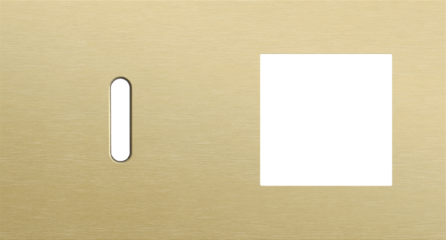 Tweevoudige afdekplaat, horizontaal 71 mm centerafstand,voor