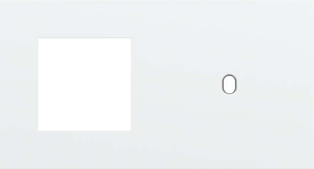 Tweevoudige afdekplaat, horizontaal 71 mm centerafstand,voor