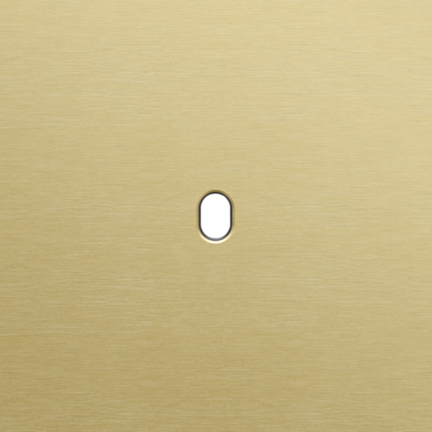 Enkelvoudige afdekplaat, voor Niko Toggle (1 onderdeel), Nik