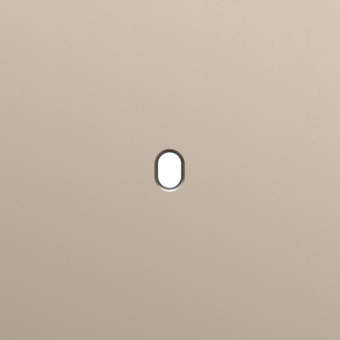 Enkelvoudige afdekplaat, voor Niko Toggle (1 onderdeel), Nik