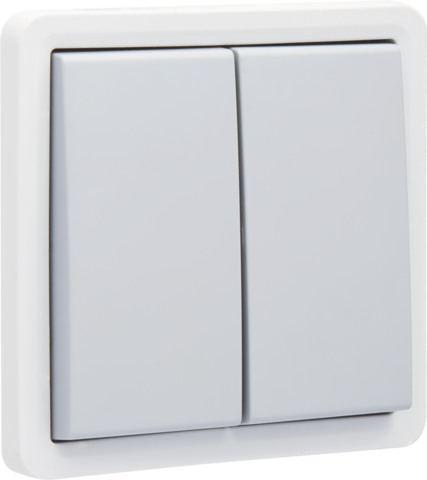 Spuitwaterdichte serieschakelaar 10 AX/250 Vac met schroefkl