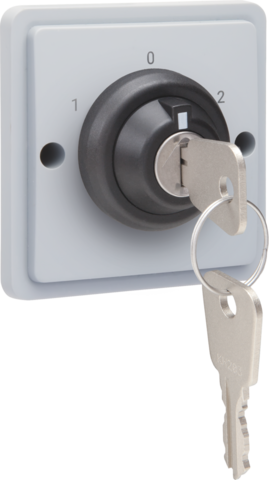 Spuitwaterdichte sleutelschakelaar 16 A met schroefklemmen e