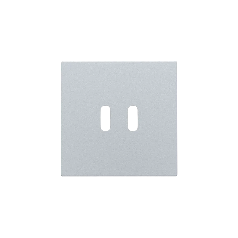 Afwerkingsset voor dubbele smart USB-C-lader, sterling coate