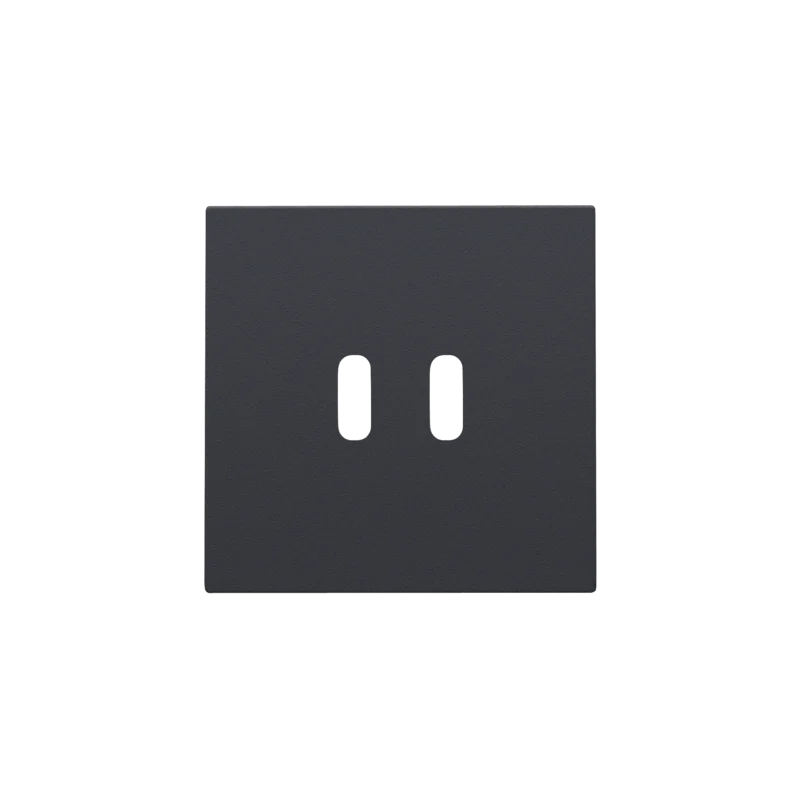 Afwerkingsset voor dubbele smart USB-C-lader, anthracite coa