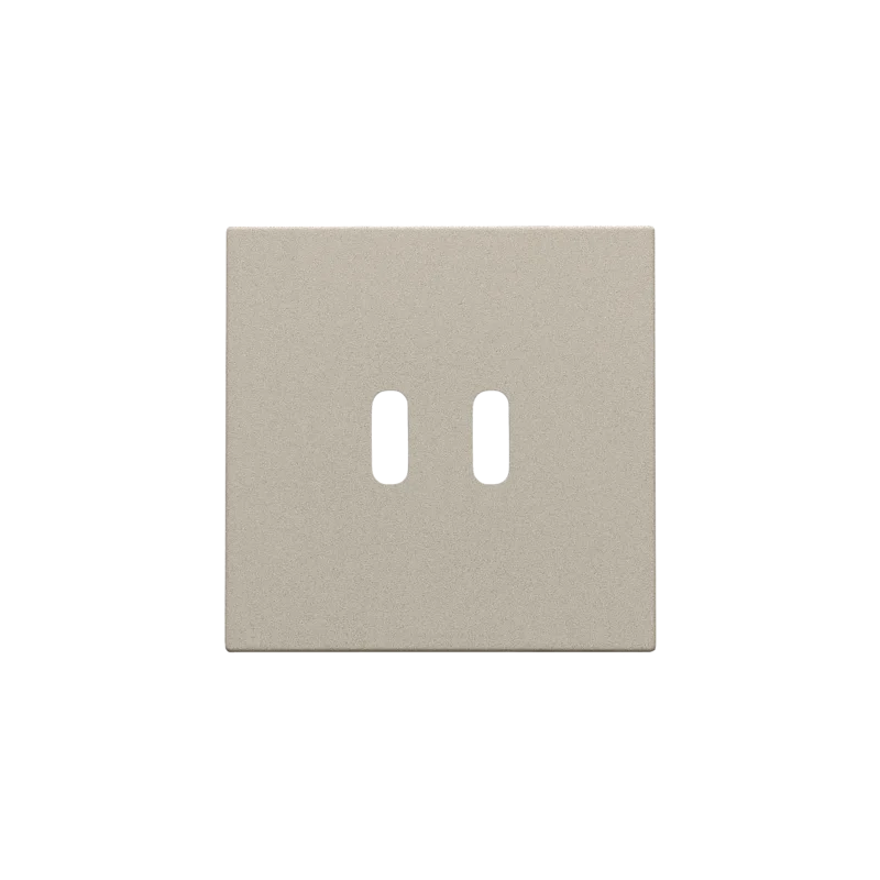 Afwerkingsset voor dubbele smart USB-C-lader, champagne coat