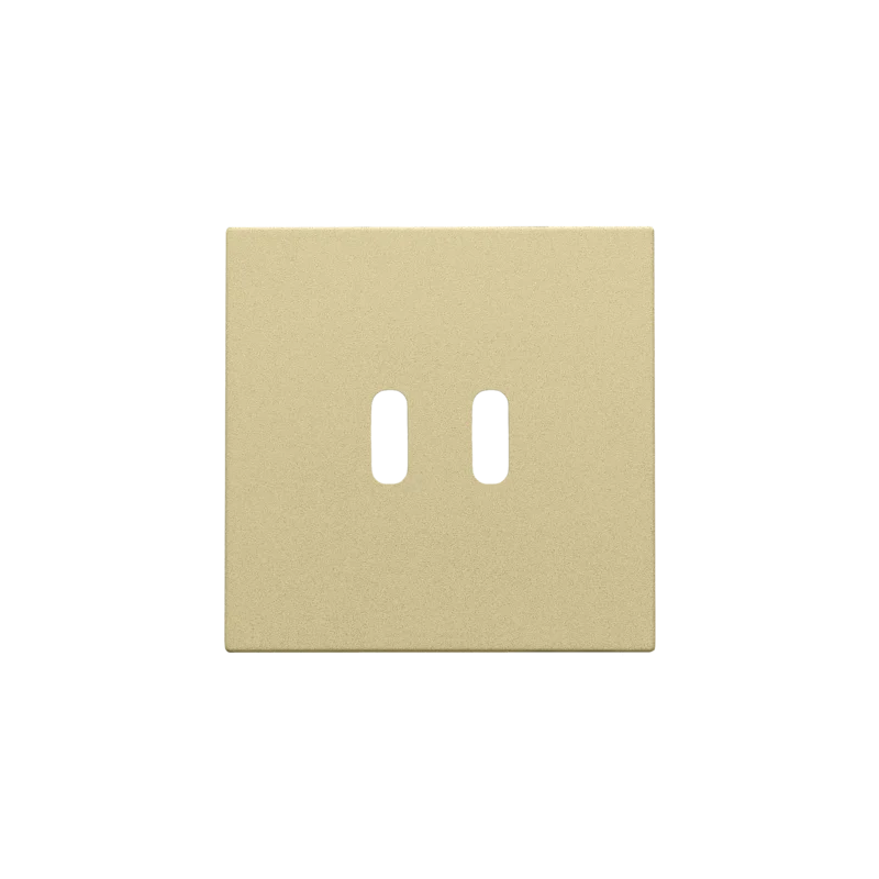 Niko - Afwerkingsset voor dubbele smart USB C lader, gold coated - 221-68003