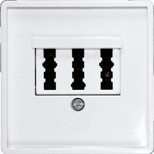 Eltako - TAE afdekking 3 voudige Duitse telecomaansluiting E 55 zuive - 30055836