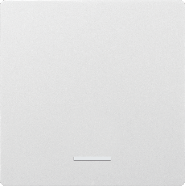 Eltako - Enkele toets E 55, poolwit mat - 30055912