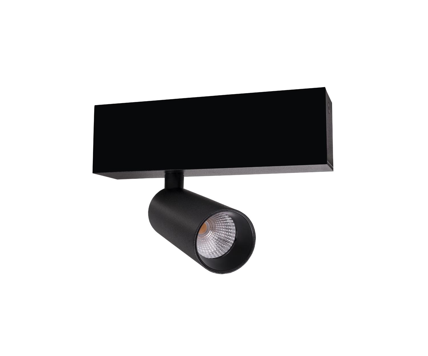 Unibright - Opbouw armatuur voor plafond of wand zwart incl. dimbare - LVM30001B