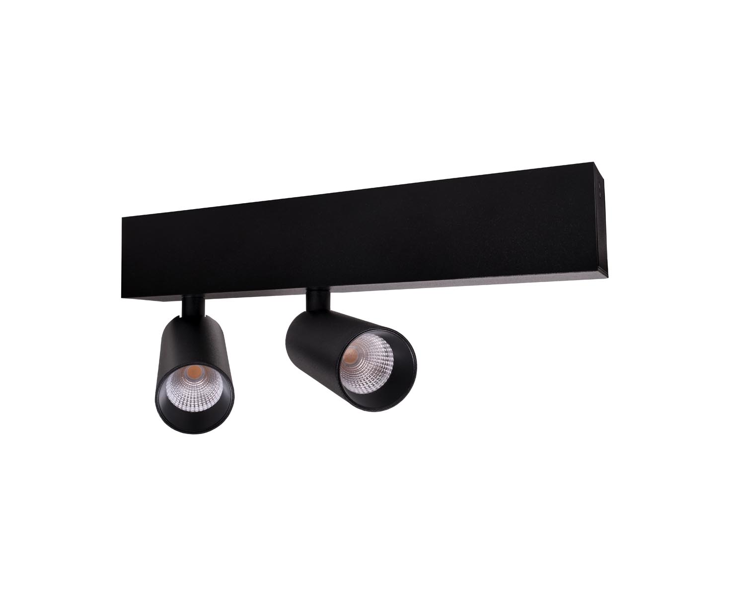 Unibright - Opbouw armatuur voor plafond of wand 2L zwart incl. dimba - LVM30002B