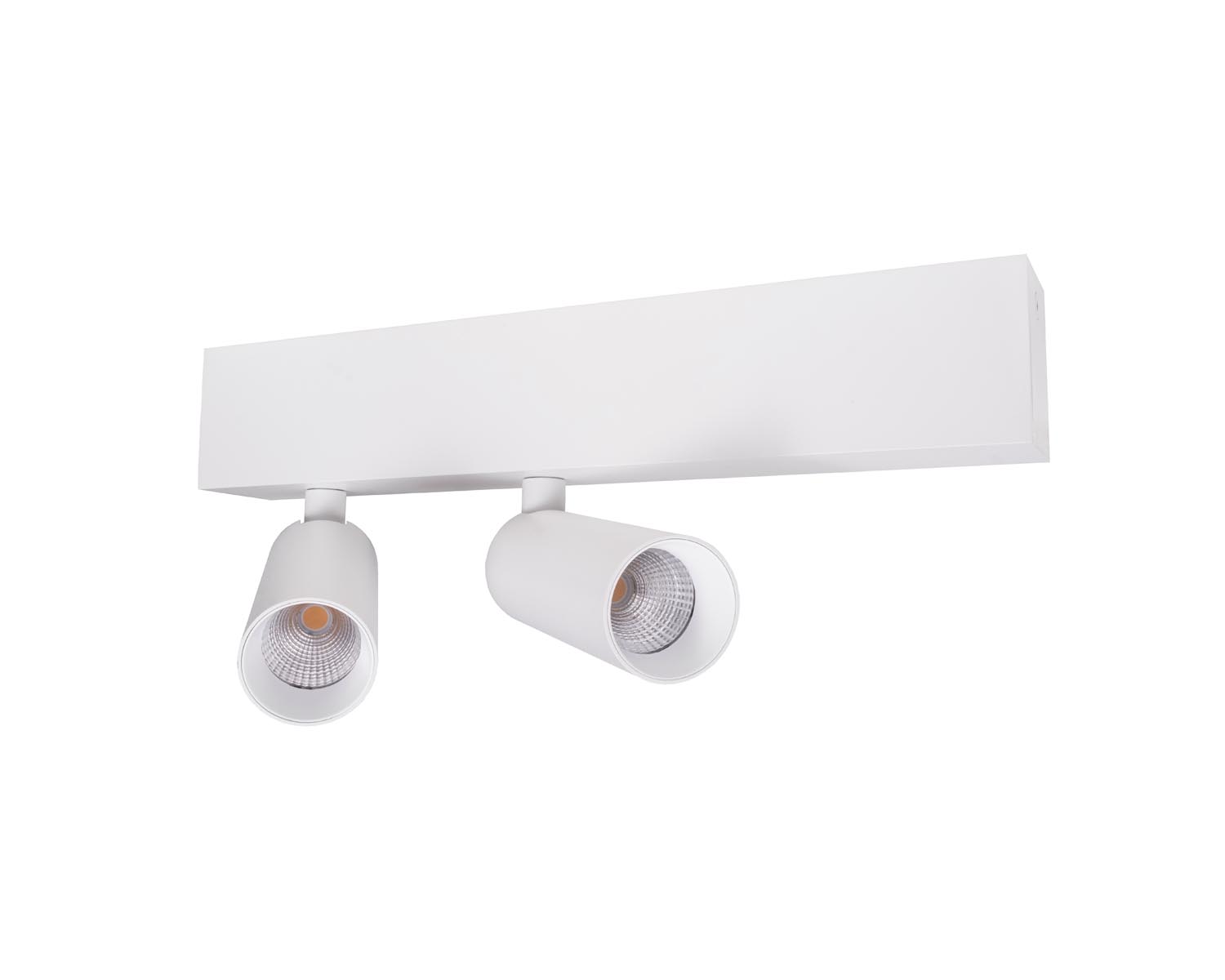 Unibright - Opbouw armatuur voor plafond of wand 2L wit incl. dimbare - LVM30002W