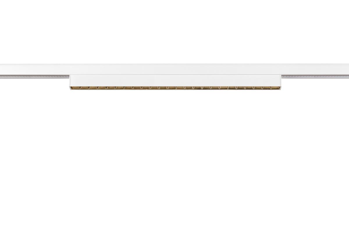 SLV - IN LINE 44 48V TRACK, darklight reflector, DALI, spot, wit - 1006634