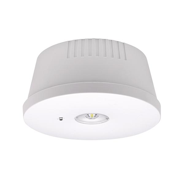 ESYLUX - ELH 2 EL LED 3h SC SM - EN10080067
