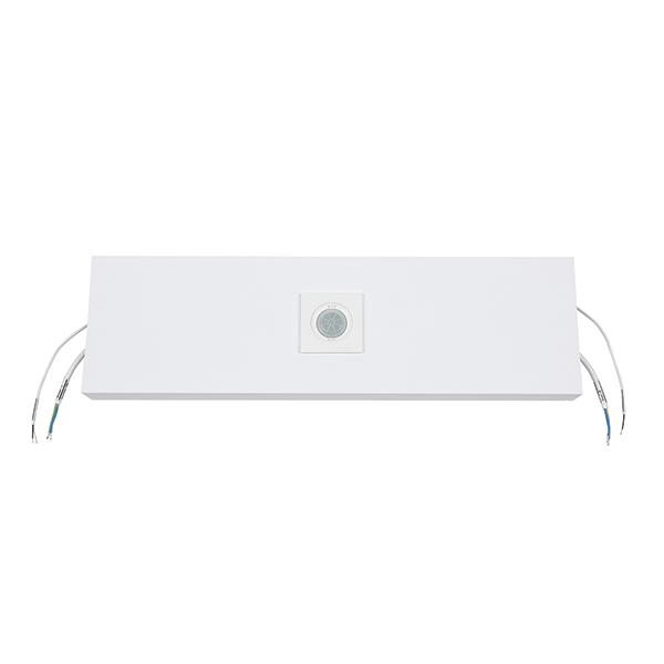 ESYLUX - LENJA PDL 600 MODULE WITH PD FLAT BMS DALI 2 - EO10850851