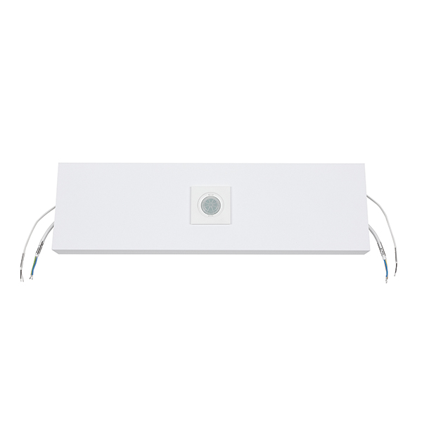 ESYLUX - LENJA PDL 600 MODULE WITH PD FLAT BMS DALI 2 - EO10850851