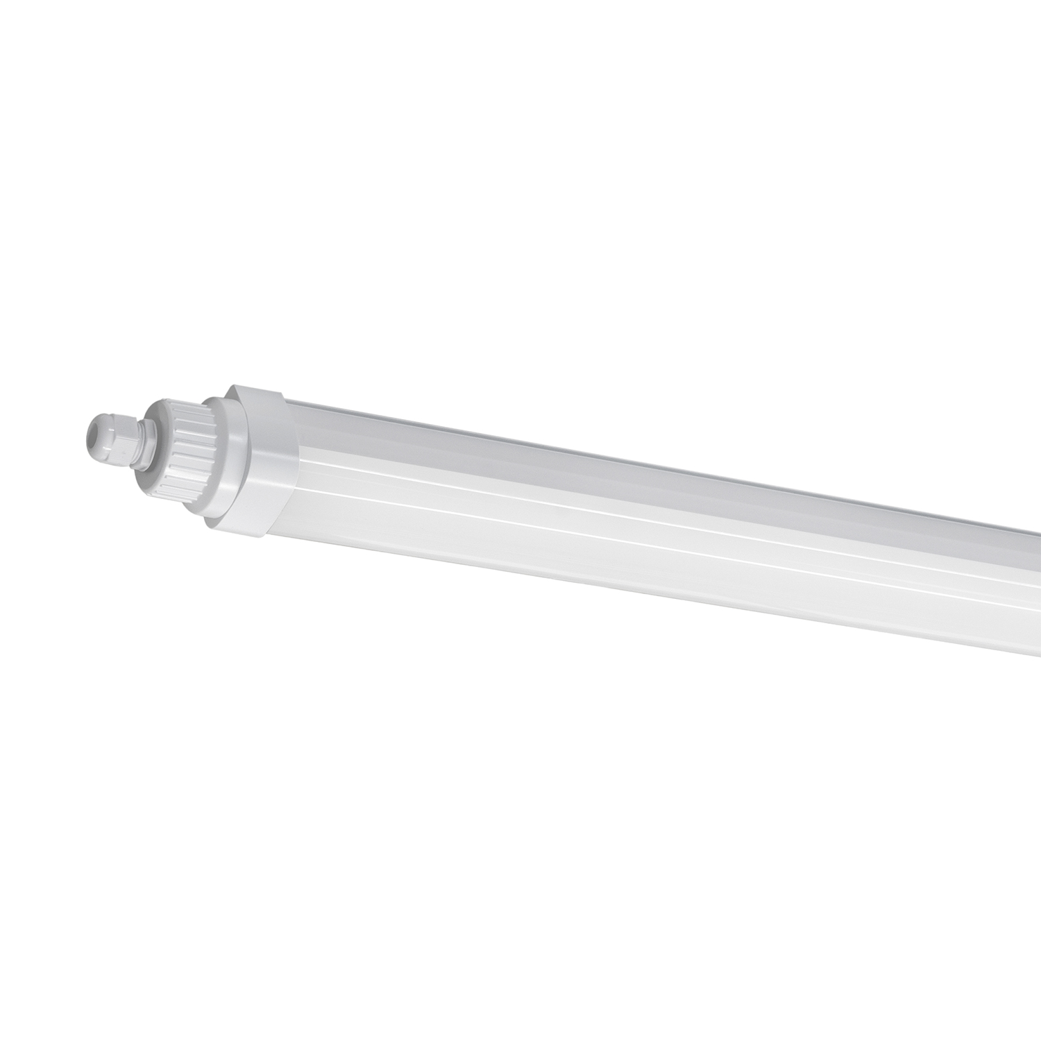 Prolumia - Pro Aqua Basic (IP66), 1230 mm, max. 32 W, max.5200 lm, aan/ - 40281640