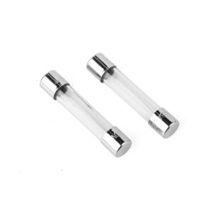 Elix - Glaszekeringen traag 6,35 x 31 mm 2 A doosje 10 - 35095