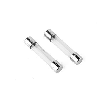 Elix - Glaszekeringen snel 6,35 x 31 mm 10 A doosje 10 - 35075