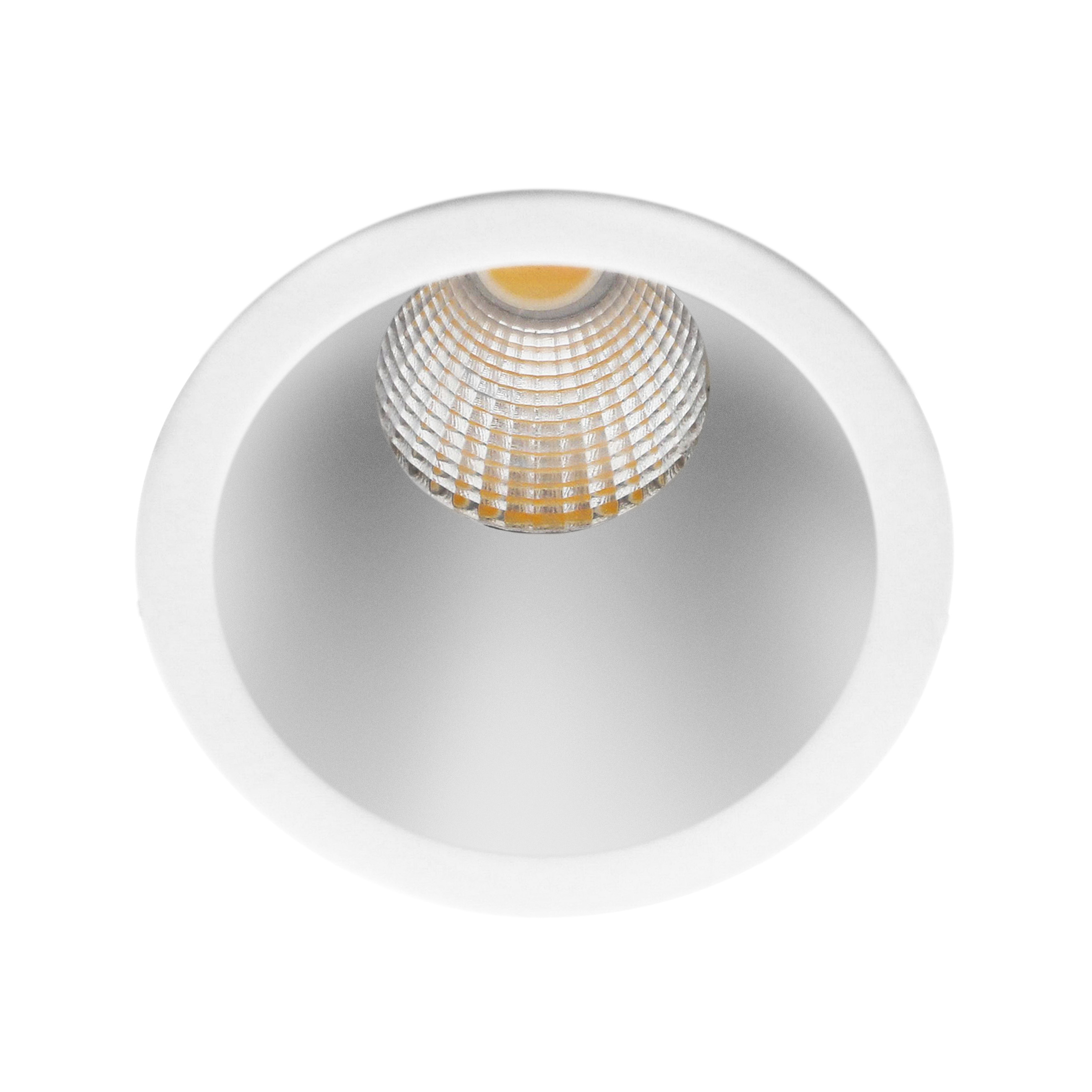 Indigo Lighting - ELENA M RDH 6W 460Lm 40° IP65 DIM Mat wit Zilver - DO57453