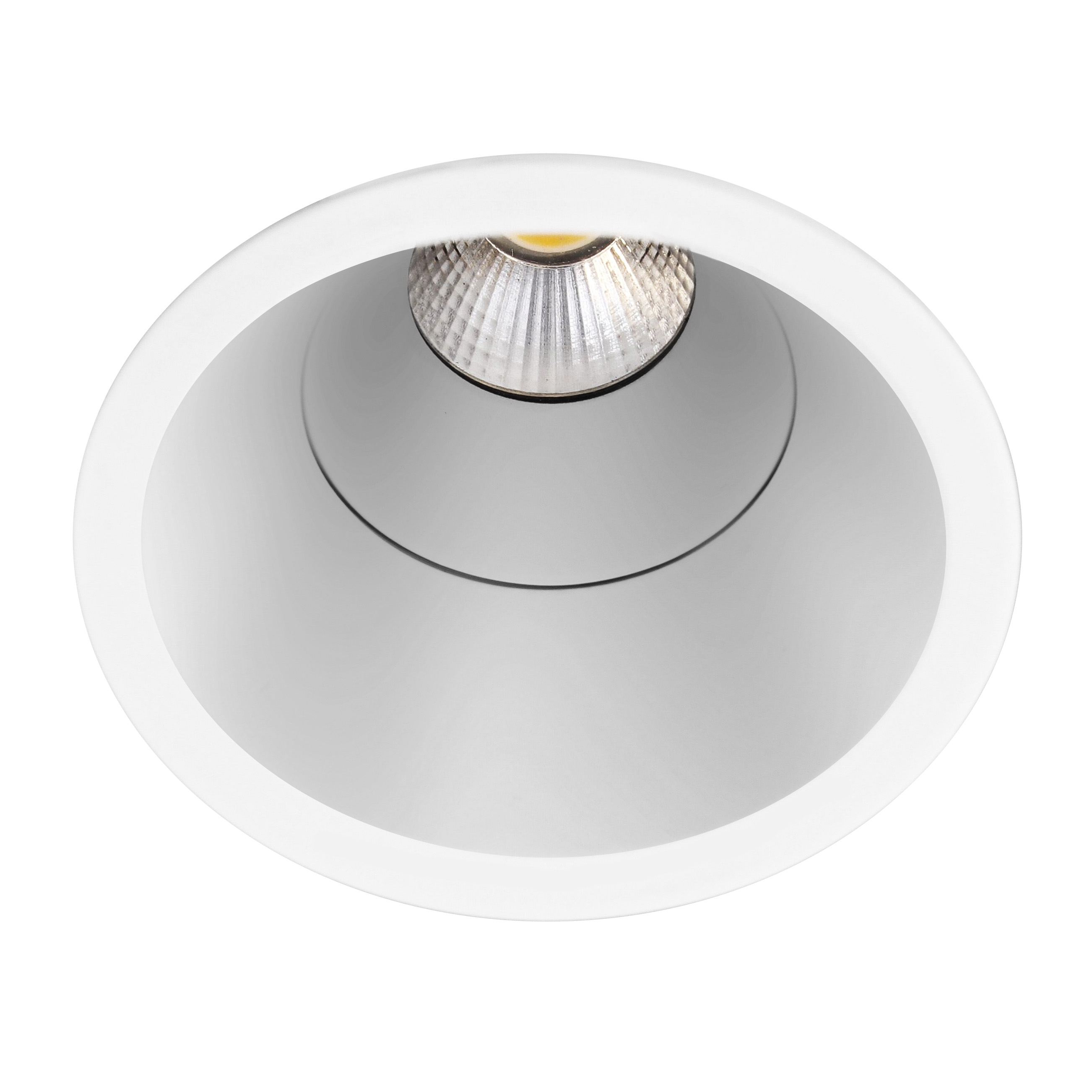 Indigo Lighting - ELENA M RDX 6W 460Lm 40° IP65 DIM Mat wit Zilver - DO57553