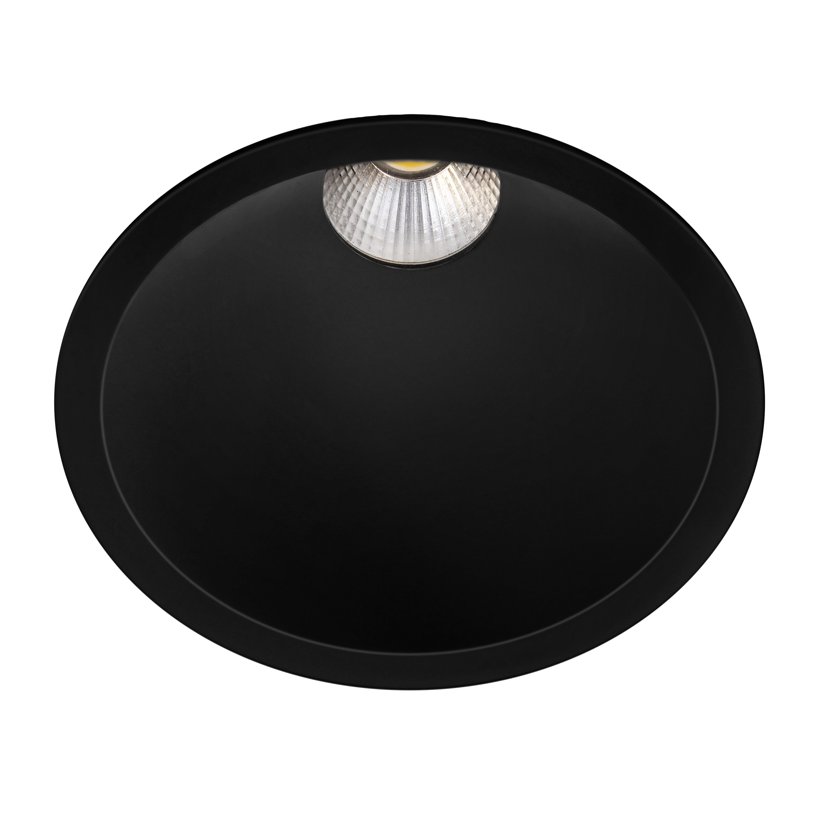 Indigo Lighting - ELENA XL RDH 10W 820Lm 45° IP65 DALI Mat zwart - DO58605