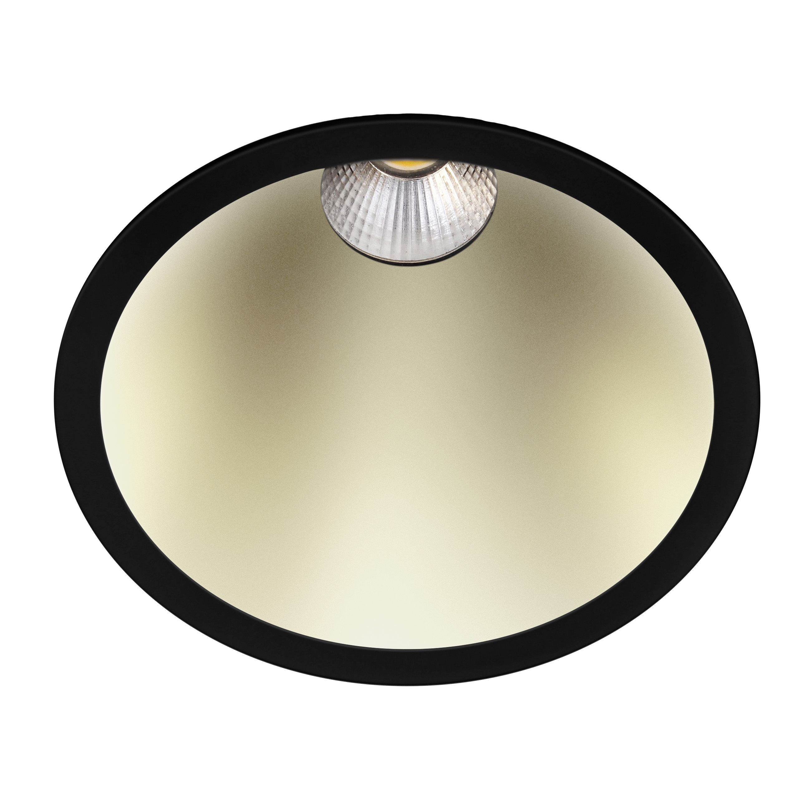 Indigo Lighting - ELENA XL RDH 10W 820Lm 45° IP65 DALI Mat zwart Mat messing - DO58644