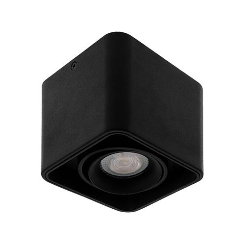 Indigo Lighting - LUPO 1 GU10 MAX10W PAR16 Mat zwart - WA20305