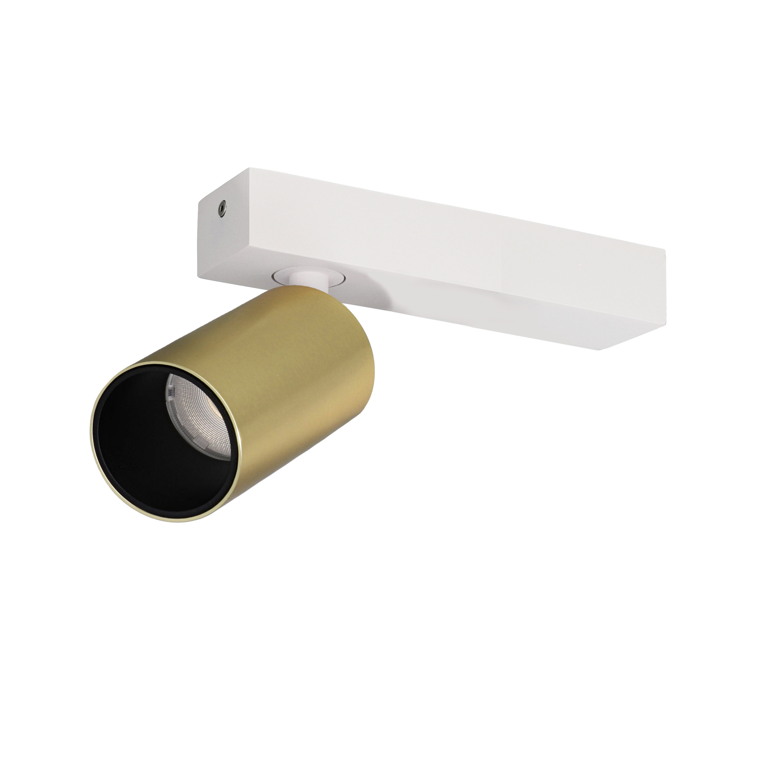Indigo Lighting - OLYN 1 W 15W 1820Lm 36° DIM Mat wit Geborsteld goud - WA28759