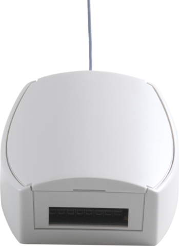 RF-ontvanger met 2 kanalen, 12-24 Vac of Vdc, voor opbouw