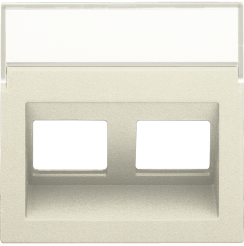 Centraalplaat data 2x RJ schuine uitgang, cream