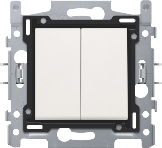 Dubbele wisselschakelaar, sokkel, schroefklemmen en afwerkin