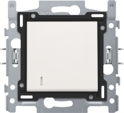 Tweepolige controleschakelaar, sokkel, insteekklemmen en afw
