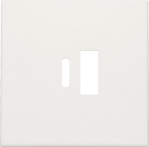 Afwerkingsset voor dubbele smart USB-A- en USB-C-lader, whit