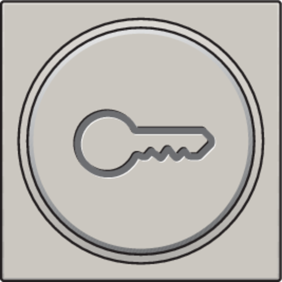 Niko 102-64009: Afwerkingsset met doorschijnende ring met sleutelsymbool voor drukknop 6A met amberkleurige led met E10-lampvoet, light grey - Image 2