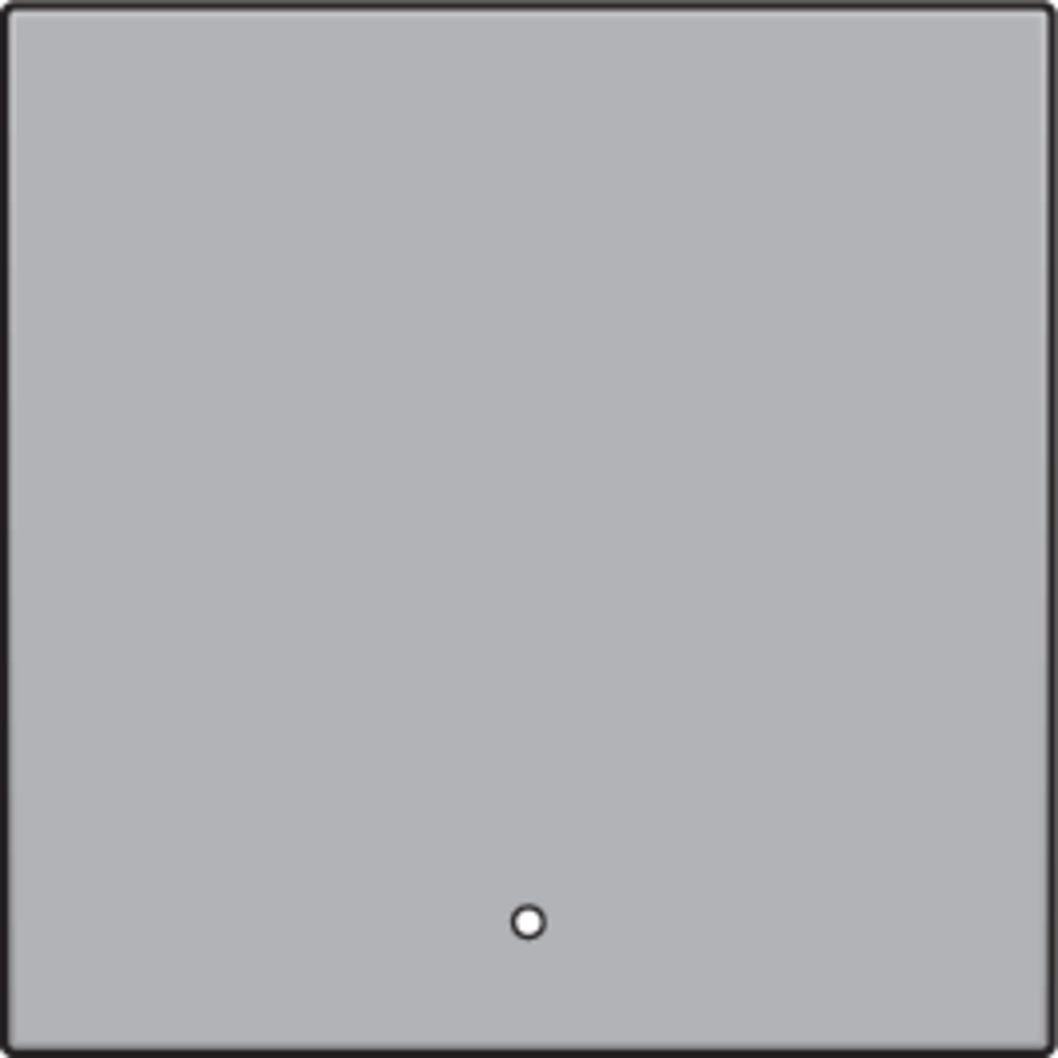 Niko 121-32002: Afwerkingsset met lens voor een enkelvoudige elektronische schakelaar of drukknop, sterling coated - Image 2