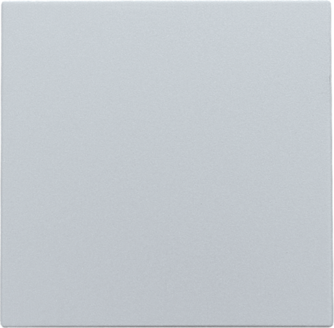 Blindplaat, sterling coated