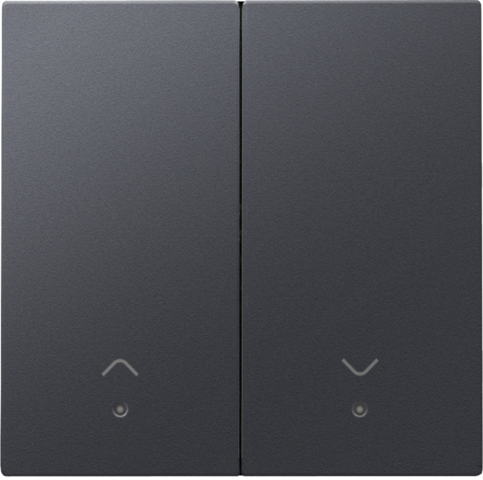 Afwerkingsset met lens voor dubbele elektronische rolluiksch