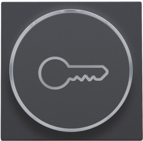 Afwerkingsset met doorschijnende ring met sleutelsymbool voo