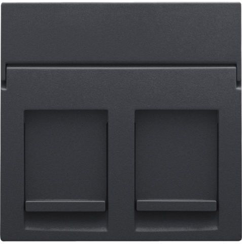 Centraalplaat data 2x RJ, anthracite coated