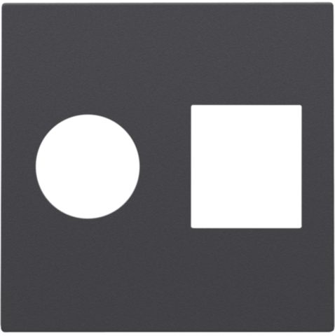 Afwerkingsset voor enkelvoudige coaxaansluiting en netwerkaa