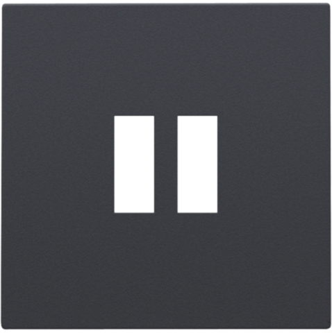 Afwerkingsset voor dubbele USB-A-lader, anthracite coated