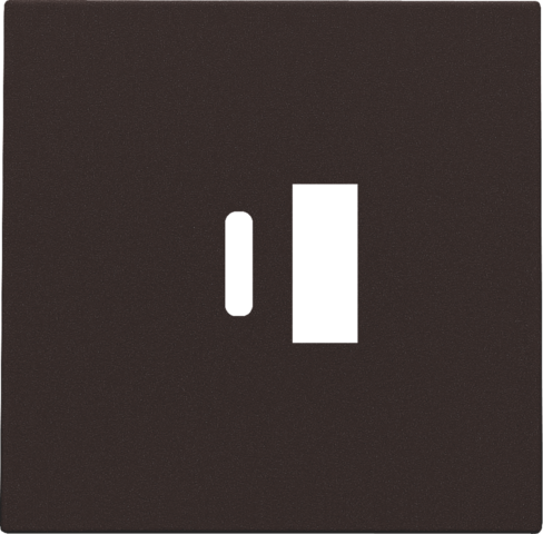 Afwerkingsset voor dubbele smart USB-A- en USB-C-lader, dark