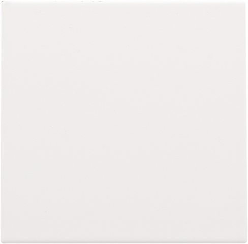 Blindplaat, white coated