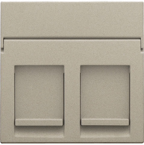 Centraalplaat data 2x RJ, champagne coated