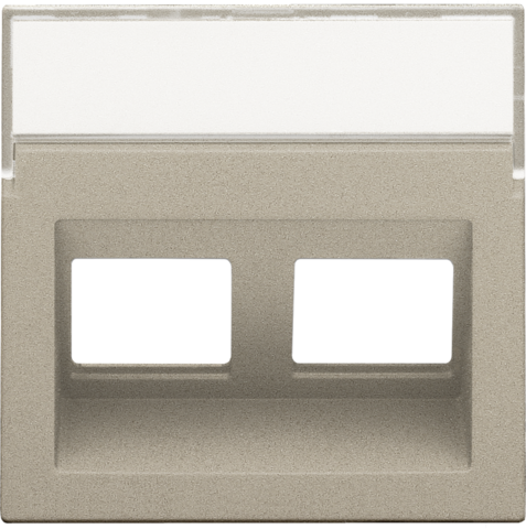 Centraalplaat data 2x RJ schuine uitgang, champagne coated