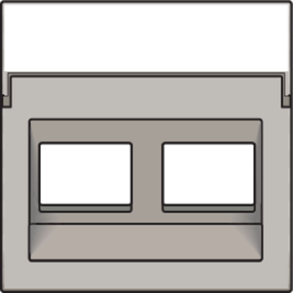 Niko 157-65400: Centraalplaat data 2x RJ schuine uitgang, champagne coated - Image 2